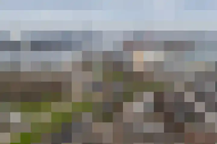 Dokstraat 37 Rotterdam thumbnail 32