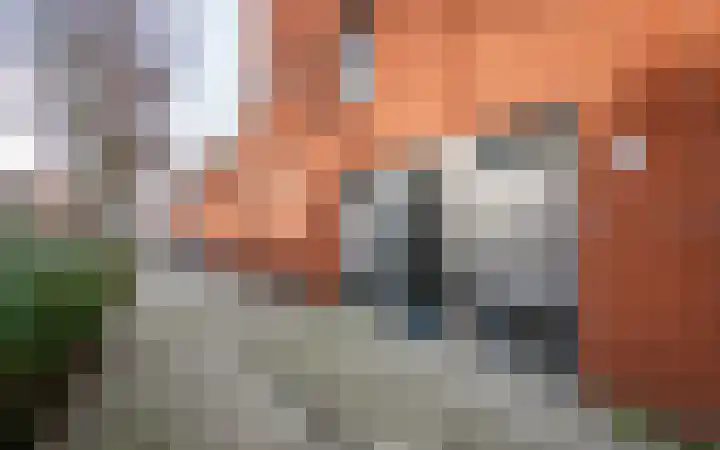 Dokstraat 37 Rotterdam thumbnail 7