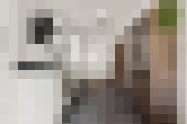 Dokstraat 61 Nijmegen thumbnail 4