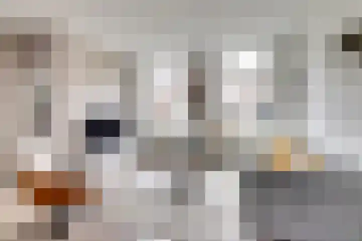 Dokstraat 8 Harlingen thumbnail 4