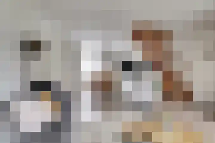 Dokstraat 8 Harlingen thumbnail 6
