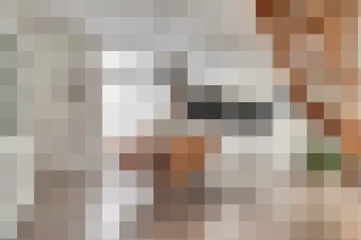 Dokstraat 8 Harlingen thumbnail 7