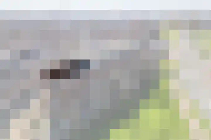 Dokstraat 81 Rotterdam thumbnail 6