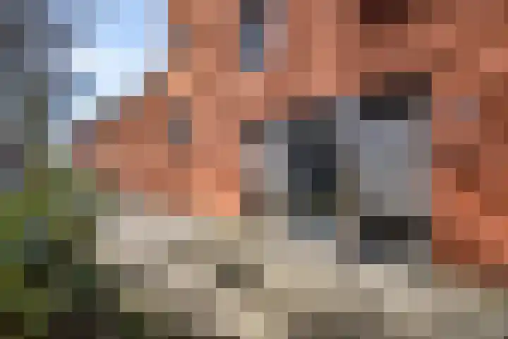 Dokstraat 81 Rotterdam thumbnail 8