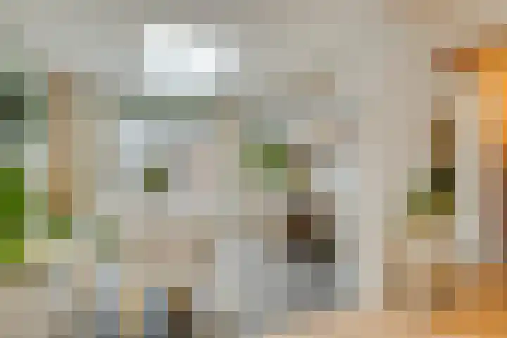 Dokter Beumerlaan 18 Otterlo thumbnail 12