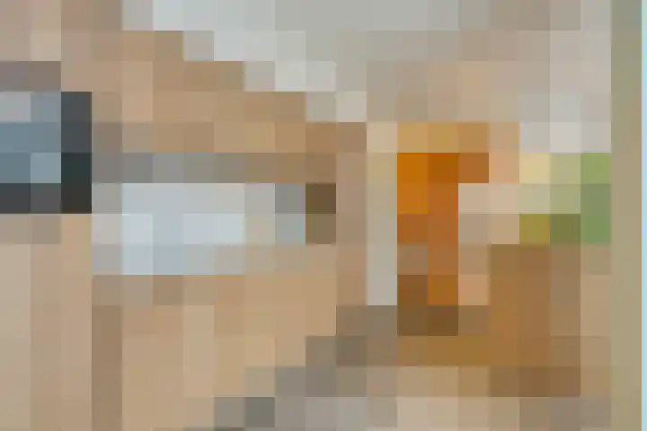 Dokter Beumerlaan 18 Otterlo thumbnail 17