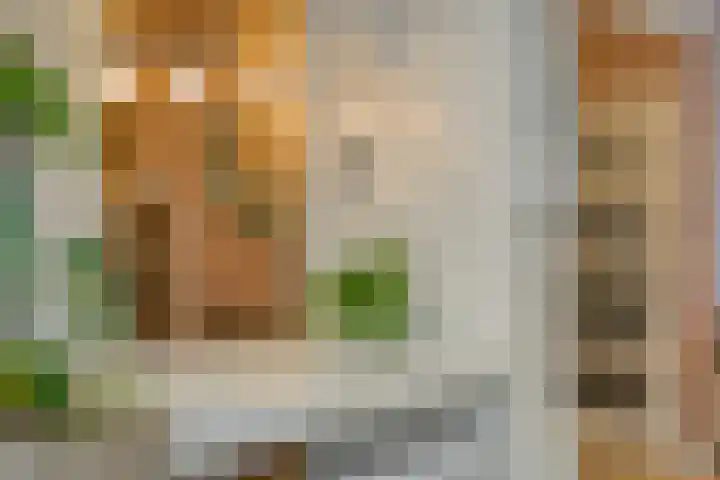 Dokter Beumerlaan 18 Otterlo thumbnail 20
