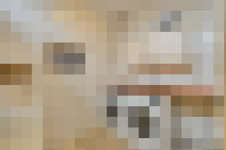 Dokter Beumerlaan 18 Otterlo thumbnail 21