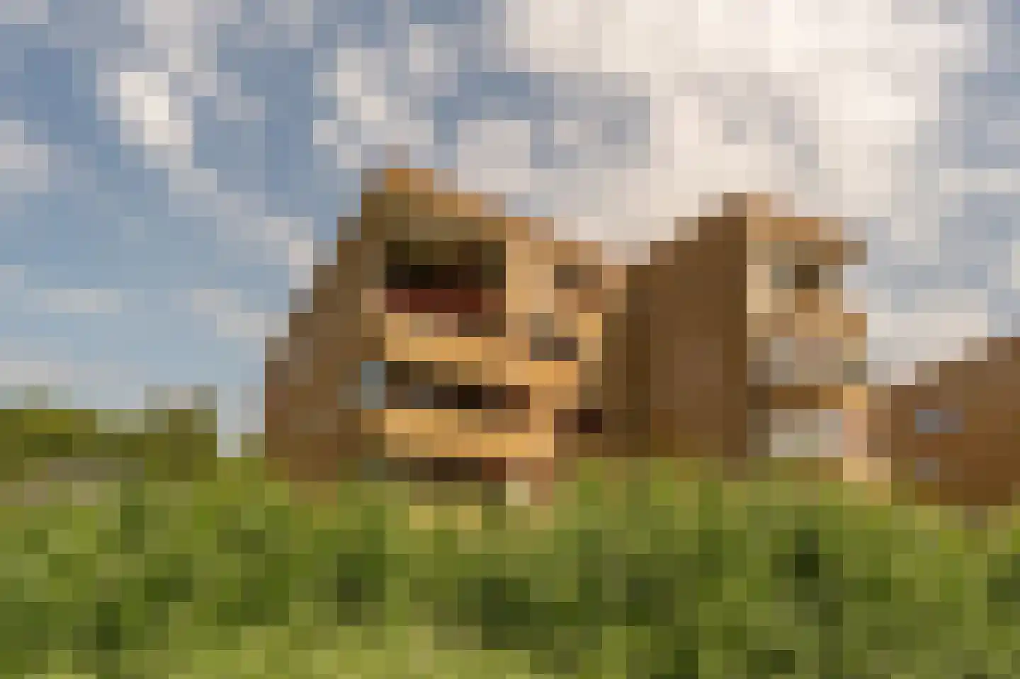 Dokter Kroesenring 42 in Oud-Beijerland