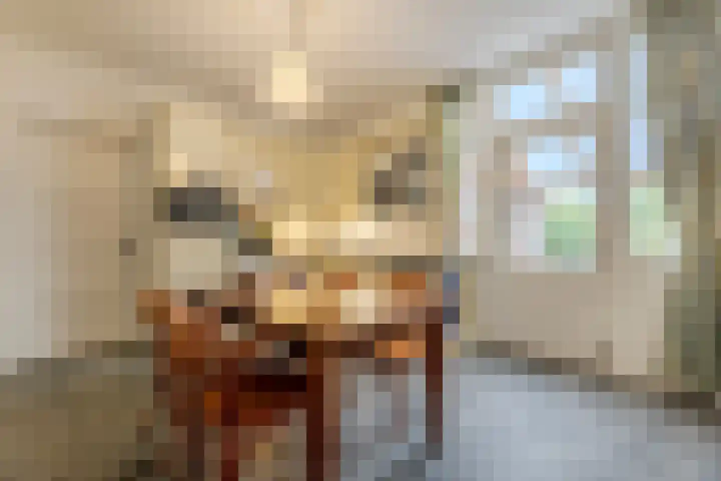 Dokter Verbeecklaan 40 Sint Anthonis thumbnail 16