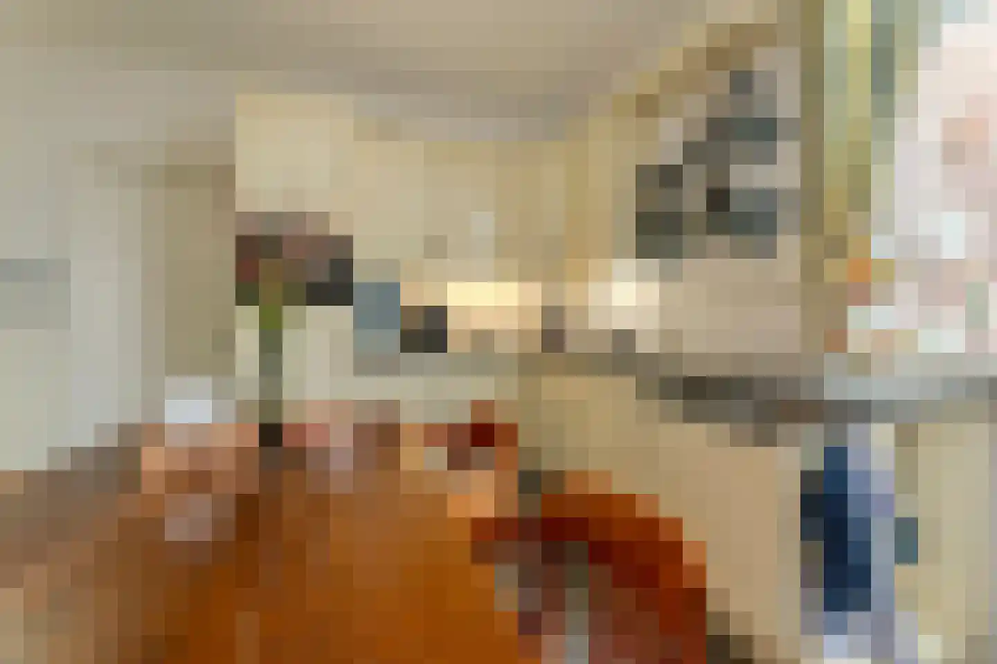 Dokter Verbeecklaan 40 Sint Anthonis thumbnail 18