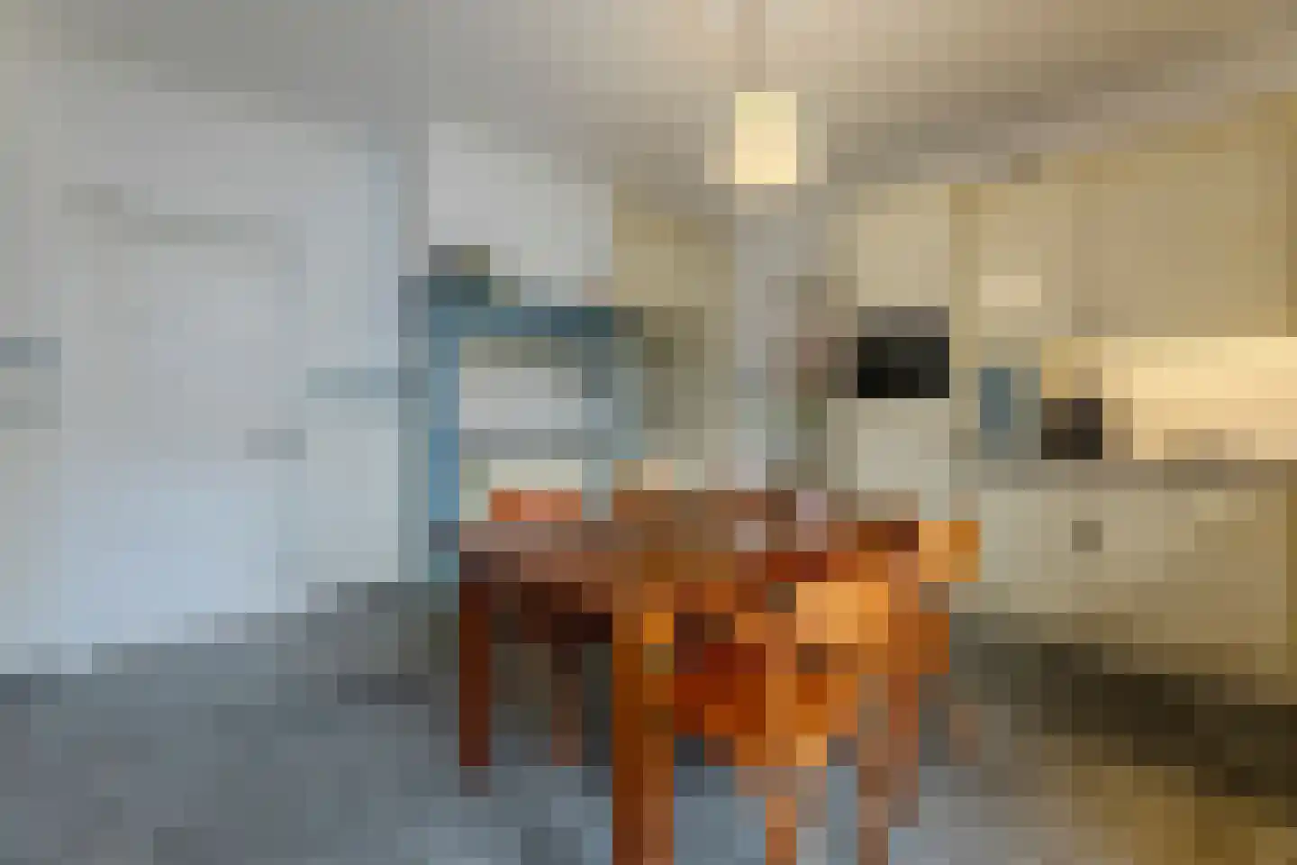 Dokter Verbeecklaan 40 Sint Anthonis thumbnail 19