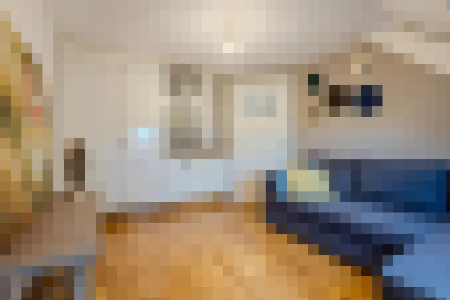 Dokter Verbeecklaan 40 Sint Anthonis thumbnail 27