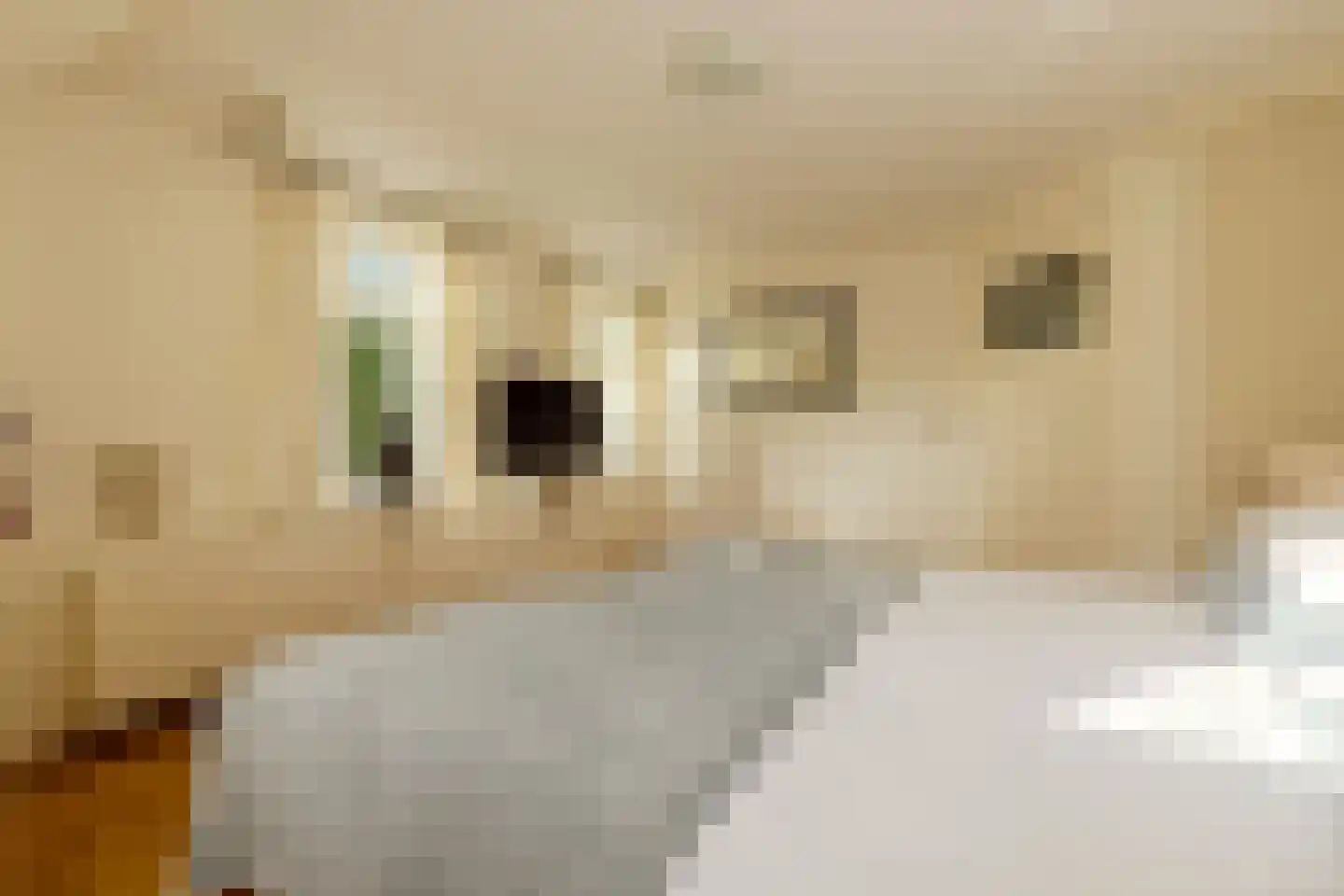Dokter Verbeecklaan 40 Sint Anthonis thumbnail 31