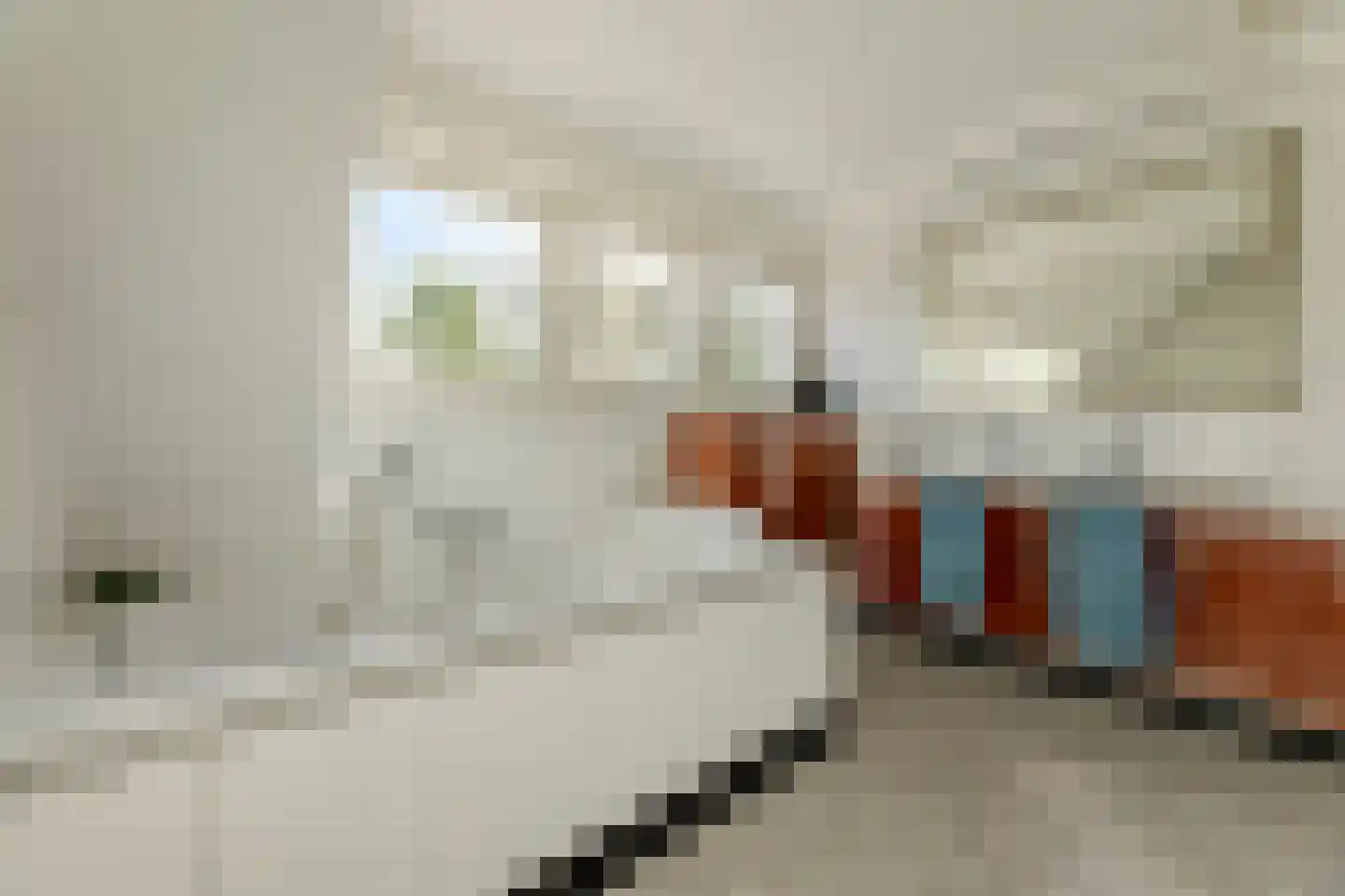 Dokter Verbeecklaan 40 Sint Anthonis thumbnail 32