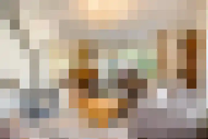 Dokter Windemullerweg 3 Vaassen thumbnail 11