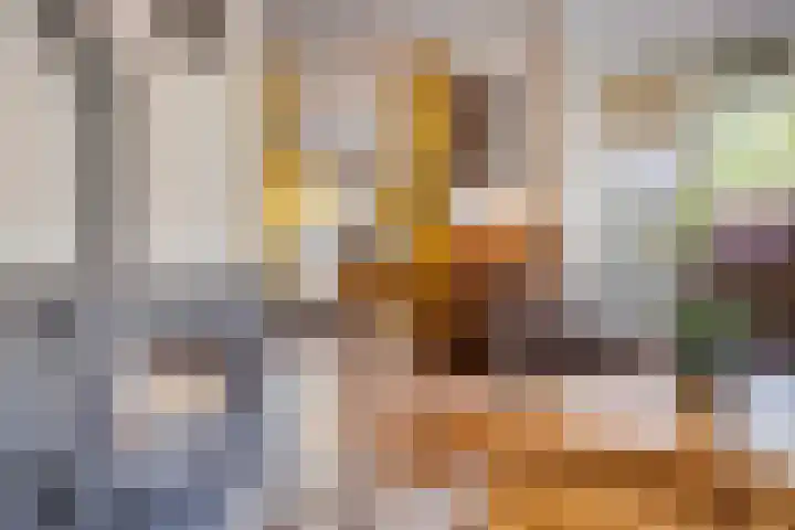 Dokter Windemullerweg 3 Vaassen thumbnail 12