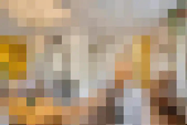 Dokter Windemullerweg 3 Vaassen thumbnail 13