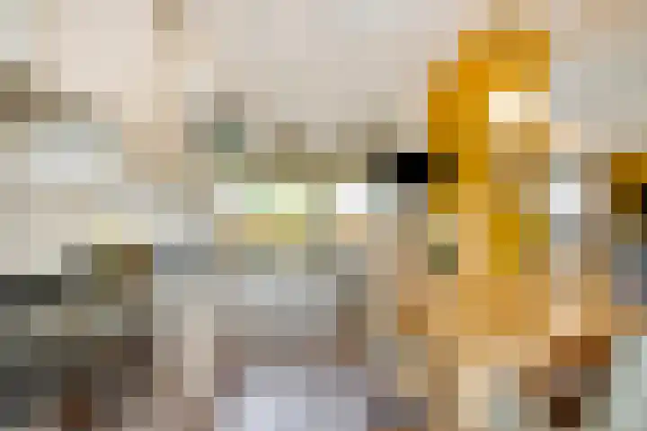 Dokter Windemullerweg 3 Vaassen thumbnail 17