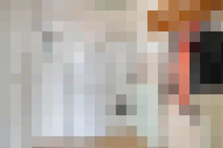 Dokter Windemullerweg 3 Vaassen thumbnail 19