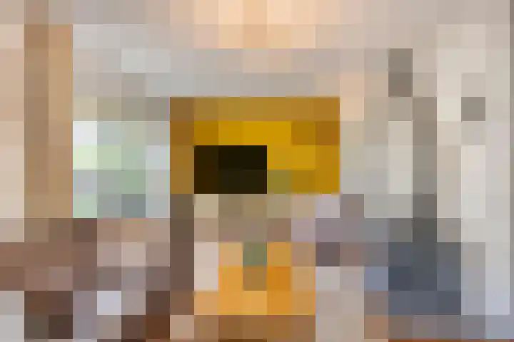 Dokter Windemullerweg 3 Vaassen foto 2