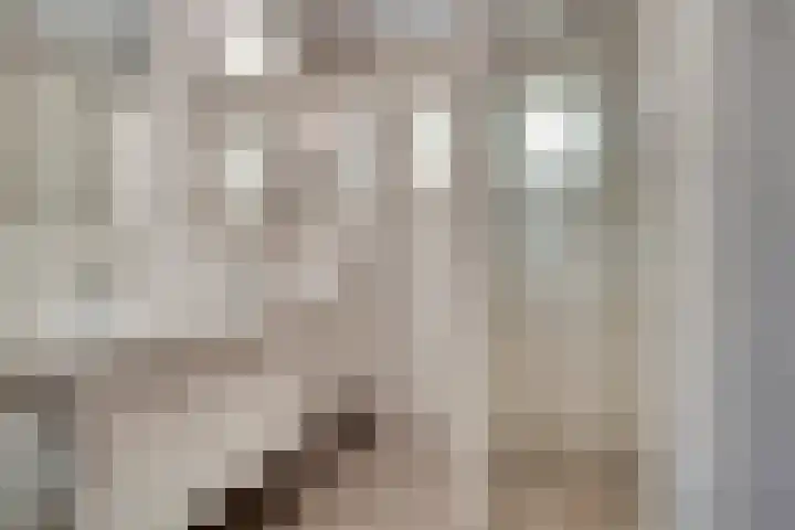 Dokter Windemullerweg 3 Vaassen thumbnail 20