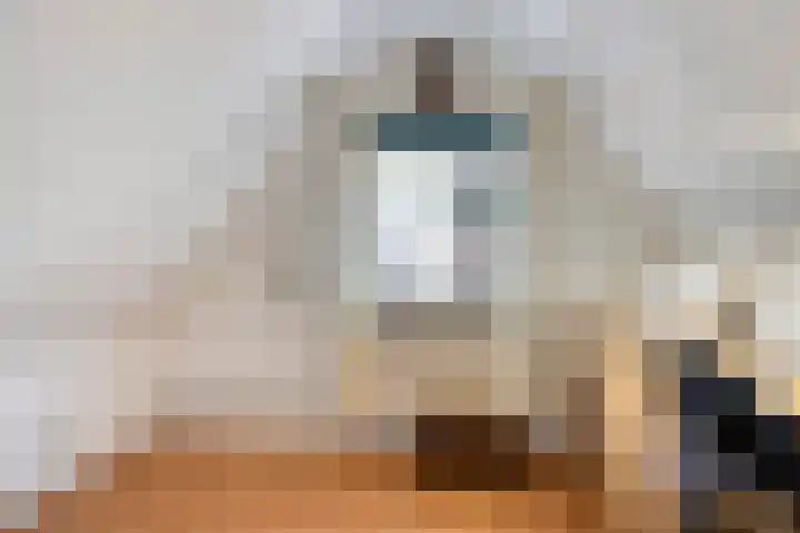 Dokter Windemullerweg 3 Vaassen thumbnail 30