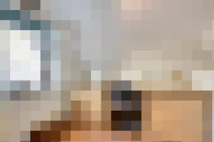 Dokter Windemullerweg 3 Vaassen thumbnail 31
