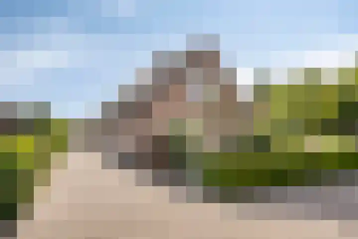 Dokter Windemullerweg 3 Vaassen thumbnail 4