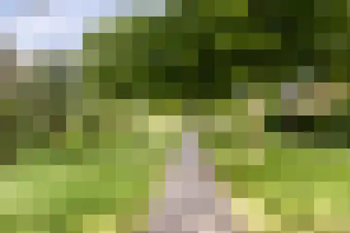 Dokter Windemullerweg 3 Vaassen thumbnail 40