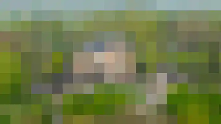 Dokter Windemullerweg 3 Vaassen thumbnail 41