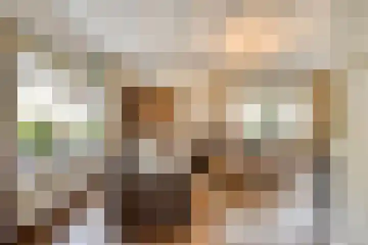 Dokter Windemullerweg 3 Vaassen thumbnail 9