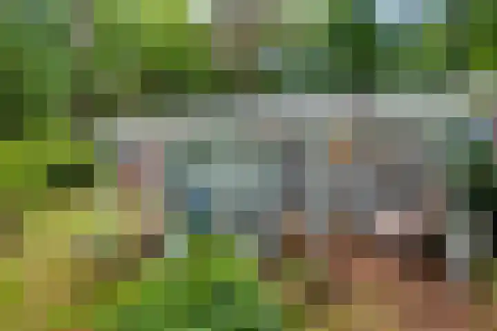 Doktersdijk 2 H10 Barchem thumbnail 16