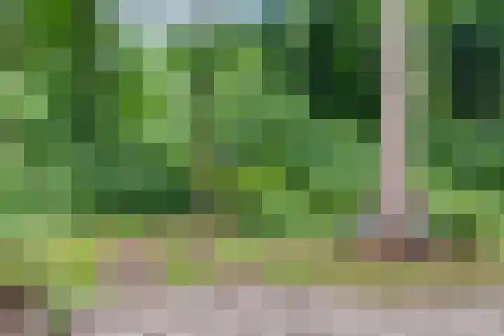 Doktersdijk 2 H10 Barchem thumbnail 21