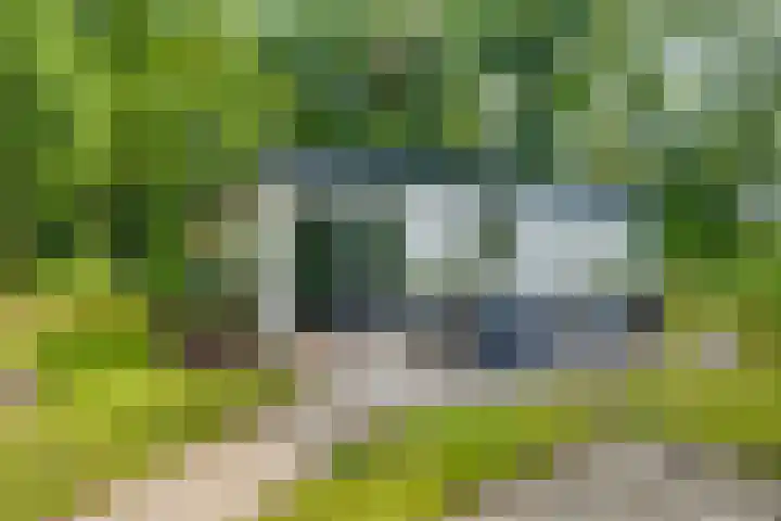 Doktersdijk 2 H10 Barchem thumbnail 22