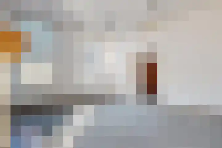 Doktersdreefje 2 Steenbergen thumbnail 10