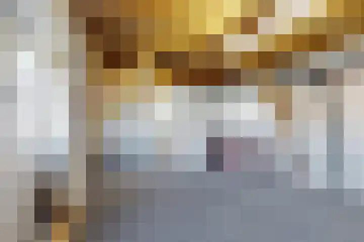 Doktersdreefje 2 Steenbergen thumbnail 29