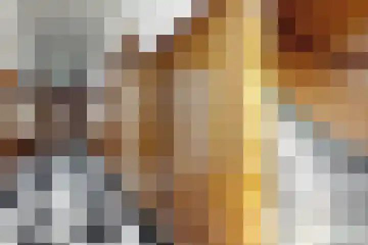 Doktersdreefje 2 Steenbergen thumbnail 32