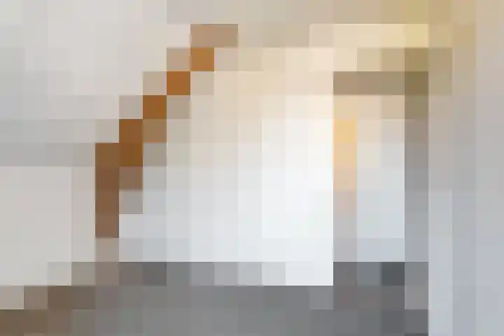 Doktersdreefje 2 Steenbergen thumbnail 47