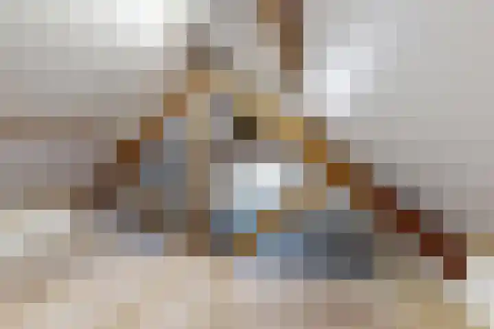Doktersdreefje 2 Steenbergen thumbnail 57