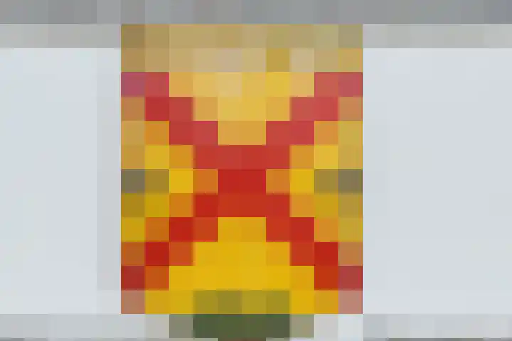 Doktersdreefje 2 Steenbergen thumbnail 68