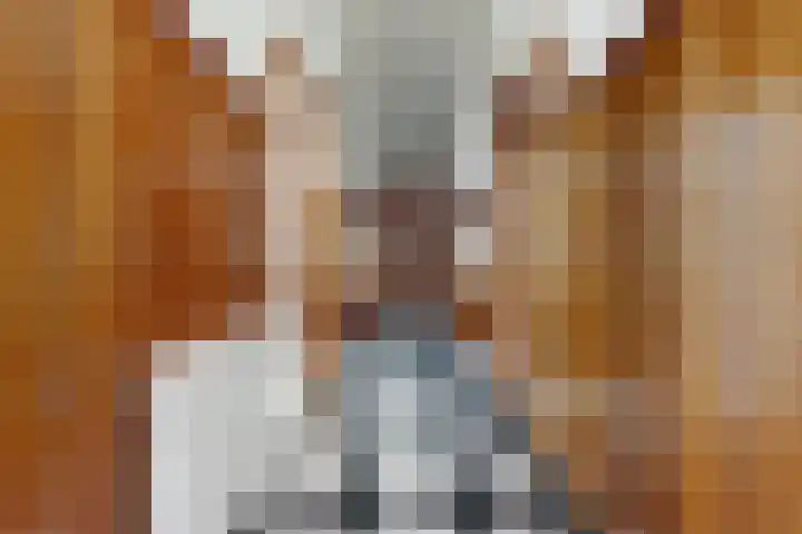 Doktersdreefje 2 Steenbergen thumbnail 8