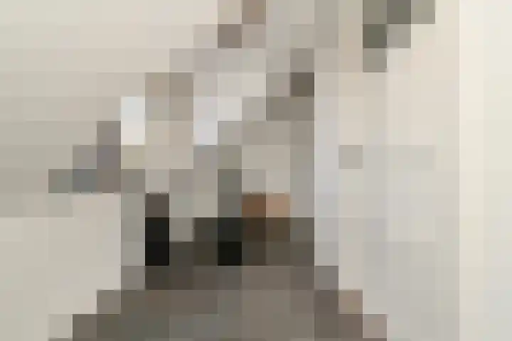 Doktersdreefje 21 Steenbergen thumbnail 25