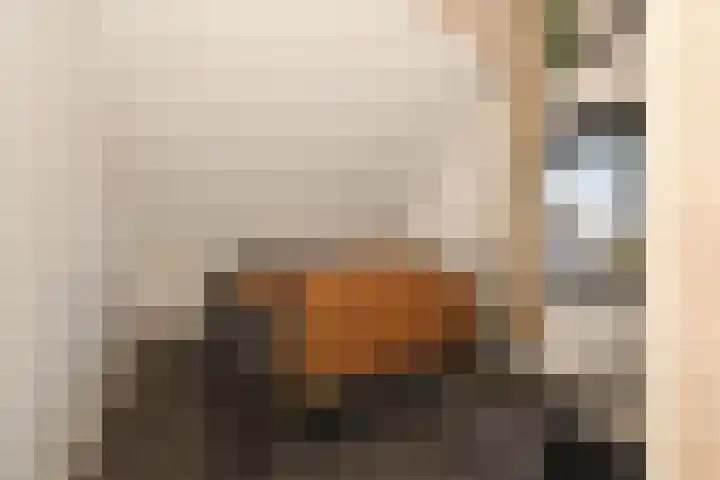 Doktersdreefje 21 Steenbergen thumbnail 31
