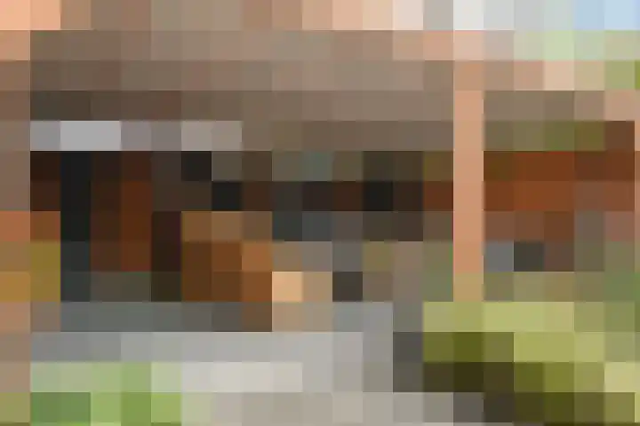 Doktersdreefje 21 Steenbergen thumbnail 41