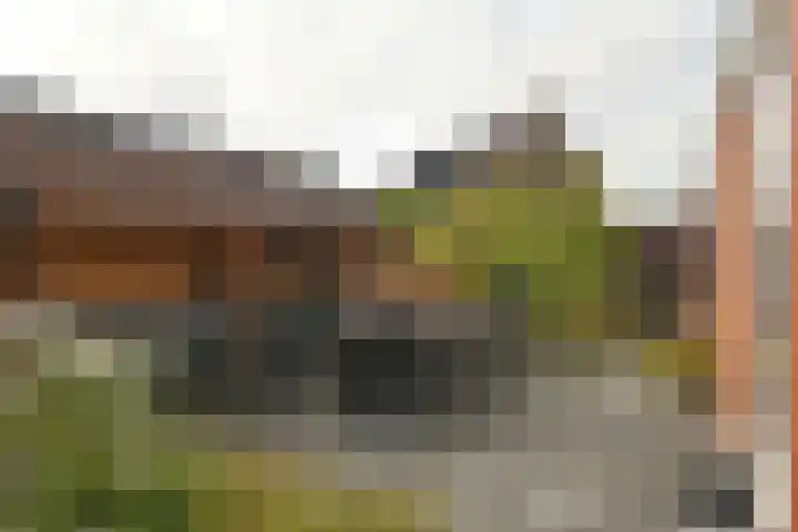 Doktersdreefje 21 Steenbergen thumbnail 42