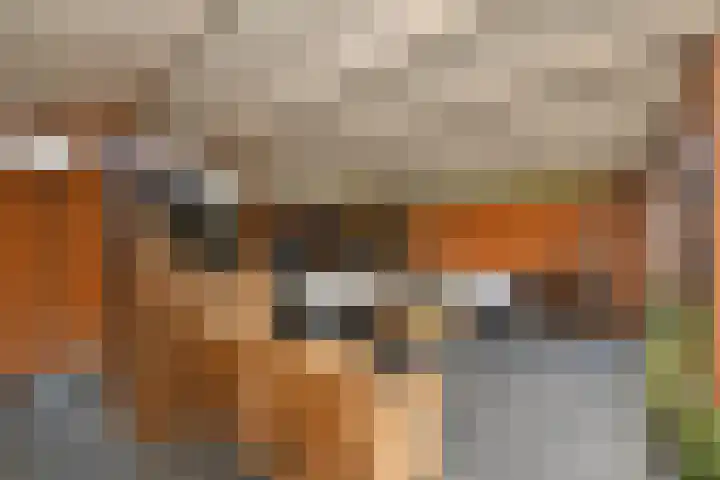 Doktersdreefje 21 Steenbergen thumbnail 43