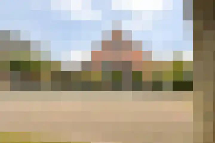 Doktersdreefje 21 Steenbergen thumbnail 49