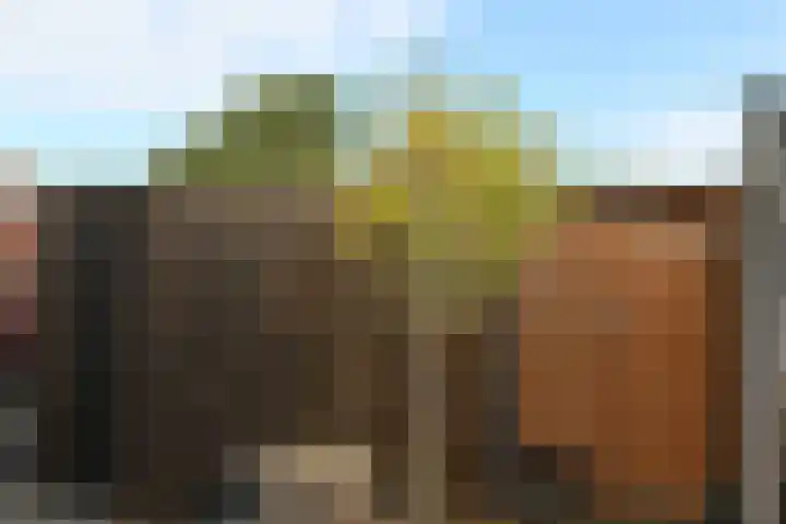 Doktersdreefje 21 Steenbergen thumbnail 53