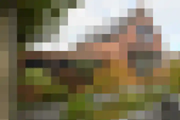 Doktersdreefje 21 Steenbergen thumbnail 6